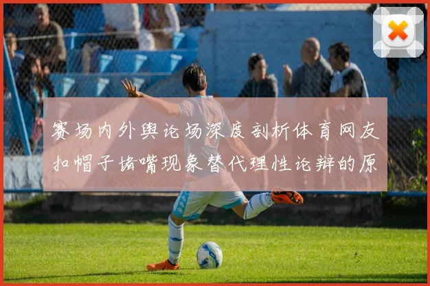 赛场内外舆论场深度剖析体育网友扣帽子堵嘴现象替代理性论辩的原因