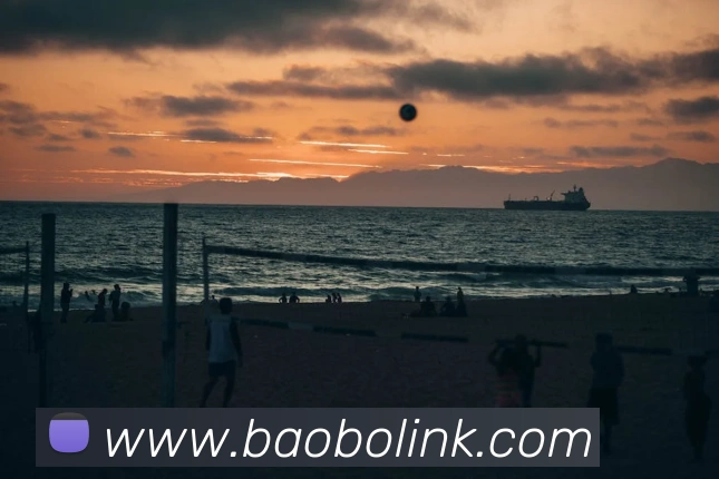 宝博体育平台生态图